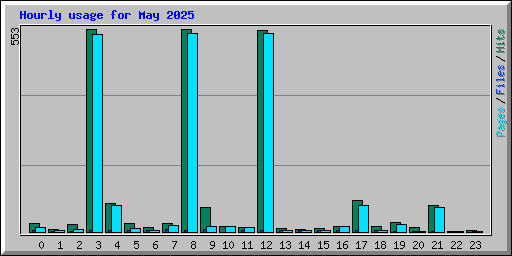 Hourly usage for May 2025